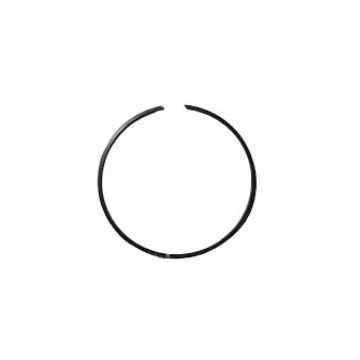 Circlip