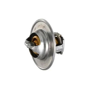 Thermostat, coolant - with gaskets/seals