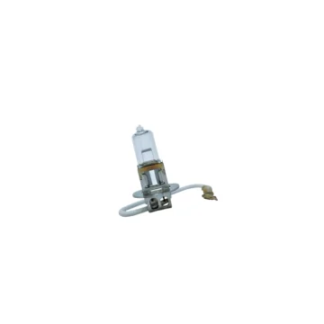 Bulb H3