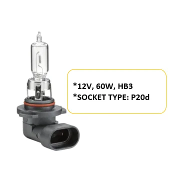 Bulb 12V 60W