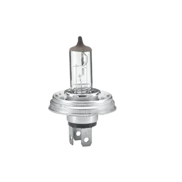 Halogen Bulb