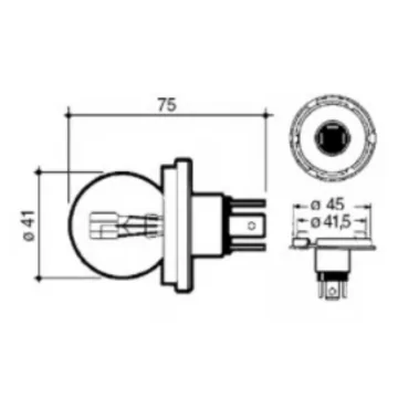 Asymmetrical 410 Bulb 12V