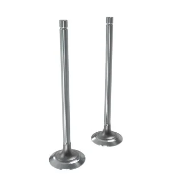 Exhaust Valve Kit