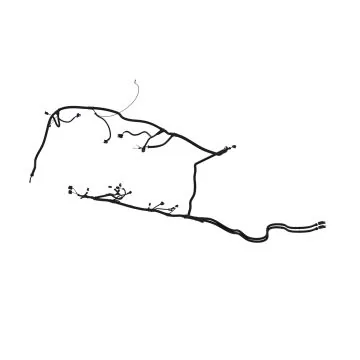 Wiring Loom