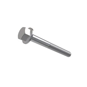 Screw